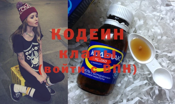 гашик Иннополис