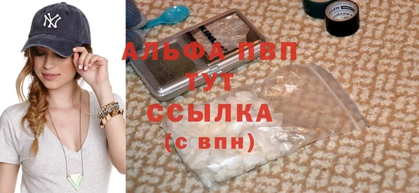 эйфоретик Инсар