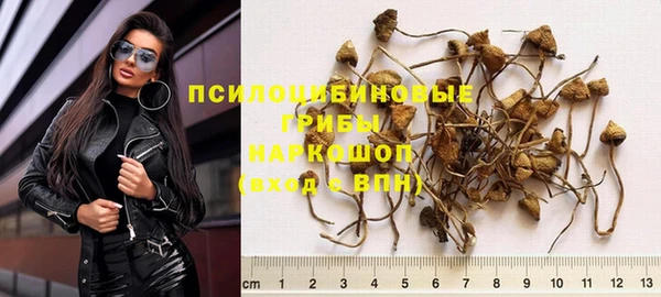 соль ск Зеленокумск