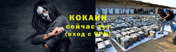 эйфоретик Инсар