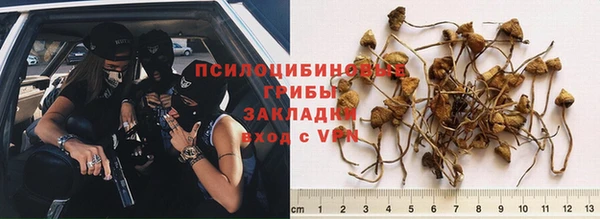 эйфоретик Инсар