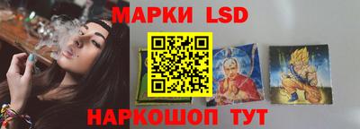 дмт Гатчина