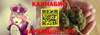 дмт Гатчина