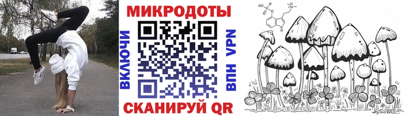 Псилоцибиновые грибы мухоморы как найти закладки Калач-на-Дону