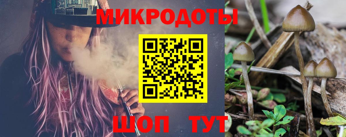 Калач-на-Дону  Псилоцибиновые грибы прущие грибы  Вход с VPN 